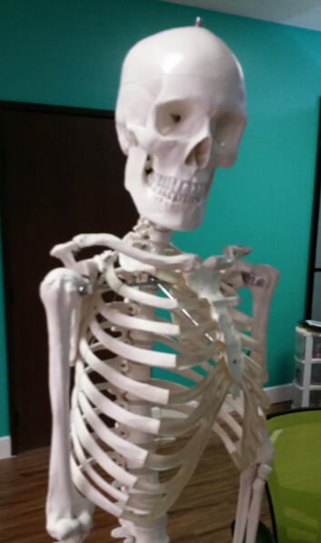 Jerry Huesos Asistente/Actor